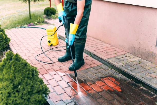 Best Dumpster Area Cleaning  in Mona, UT